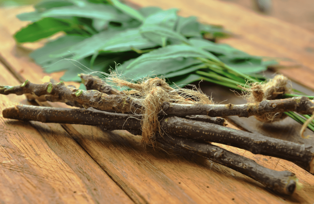 Make a Nature Table: A Simple Altar to Autumn's Magic