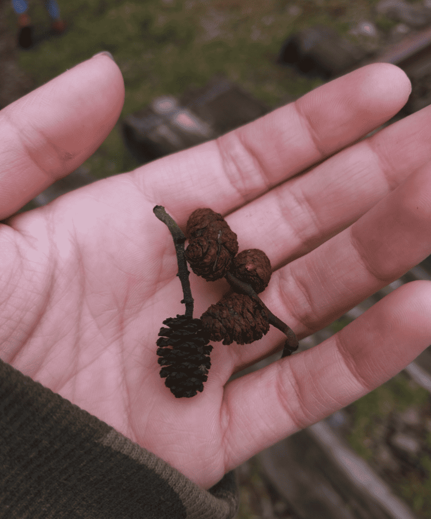 Make a Nature Table: A Simple Altar to Autumn's Magic