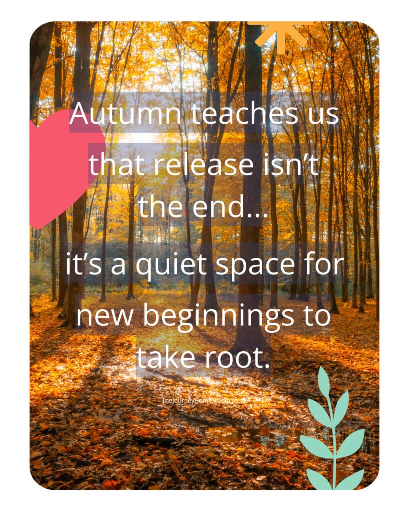 The Grace of Letting Go – What Autumn Teaches Us About Release